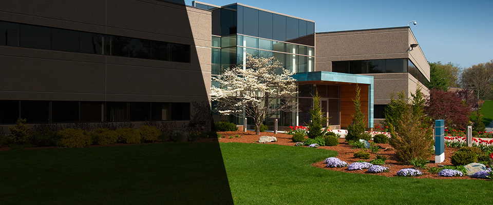 North Miami Beach Landscapers