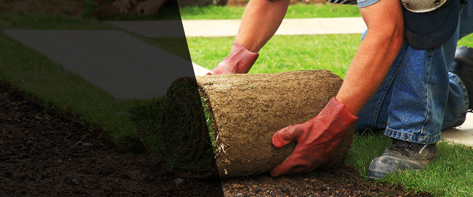 North Miami Beach Landscapers